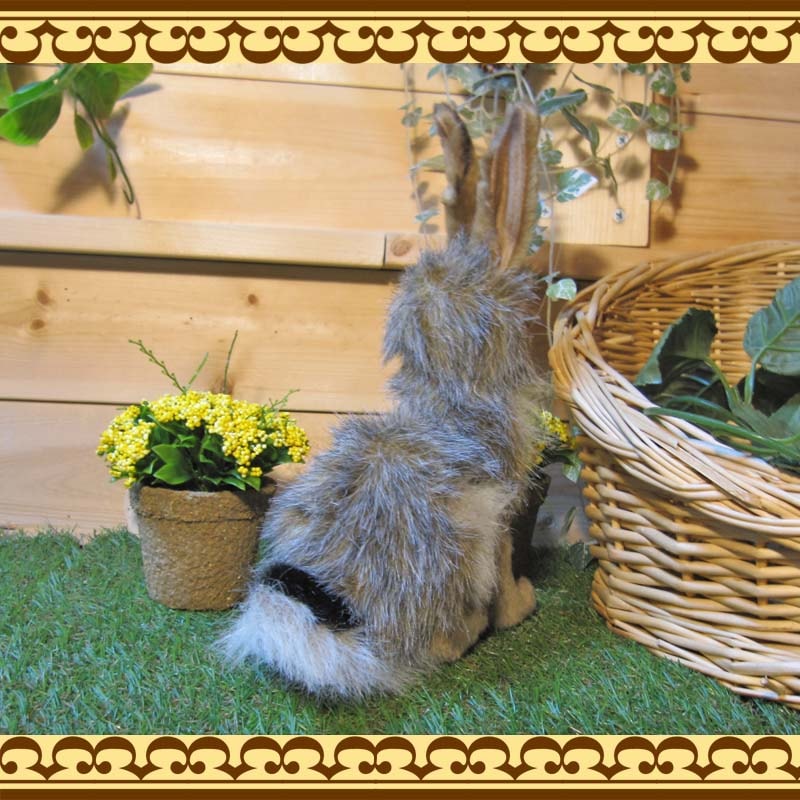 ���������������������ס��ꥢ��ʤ������Τ̤�����ߡ�