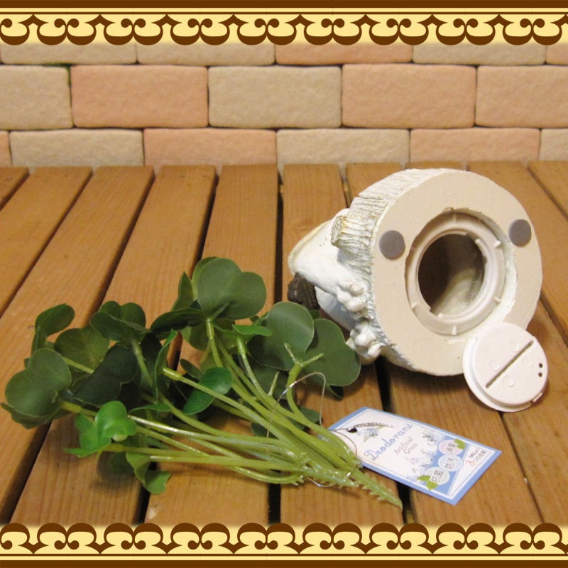 ���������ʪ ������ȥ������С�������Ȣ�������롡�Х󥯡� �� ���֥��� ����ƥꥢ  �ﵯʪ