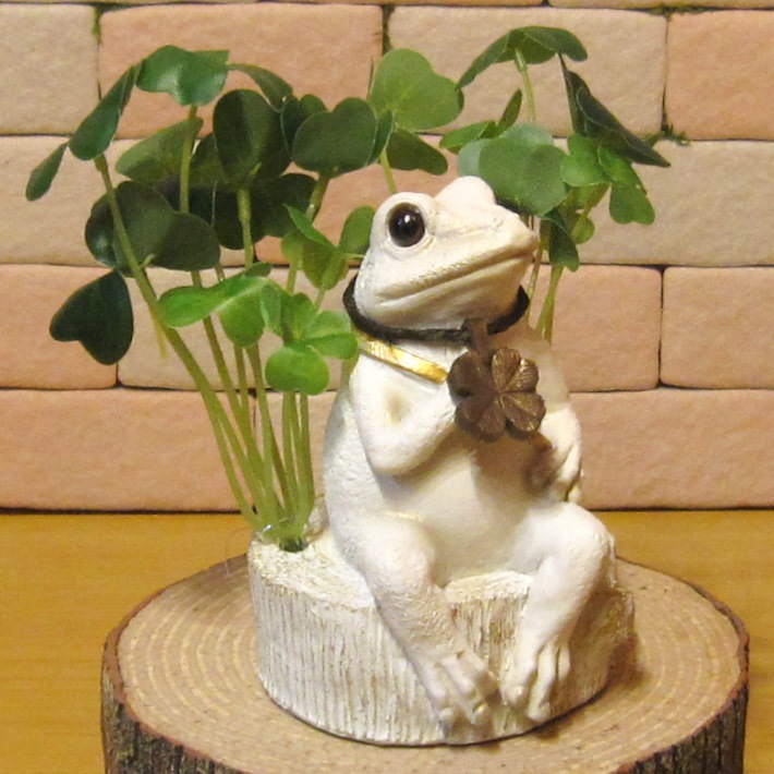 ���������ʪ ������ȥ������С�������Ȣ�������롡�Х󥯡� �� ���֥��� ����ƥꥢ  �ﵯʪ