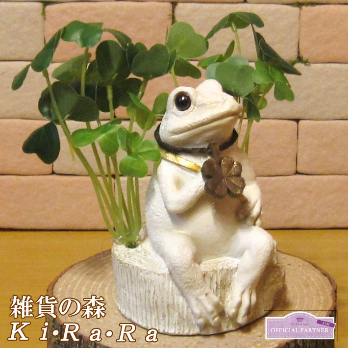 ���������ʪ ������ȥ������С�������Ȣ�������롡�Х󥯡� �� ���֥��� ����ƥꥢ  �ﵯʪ