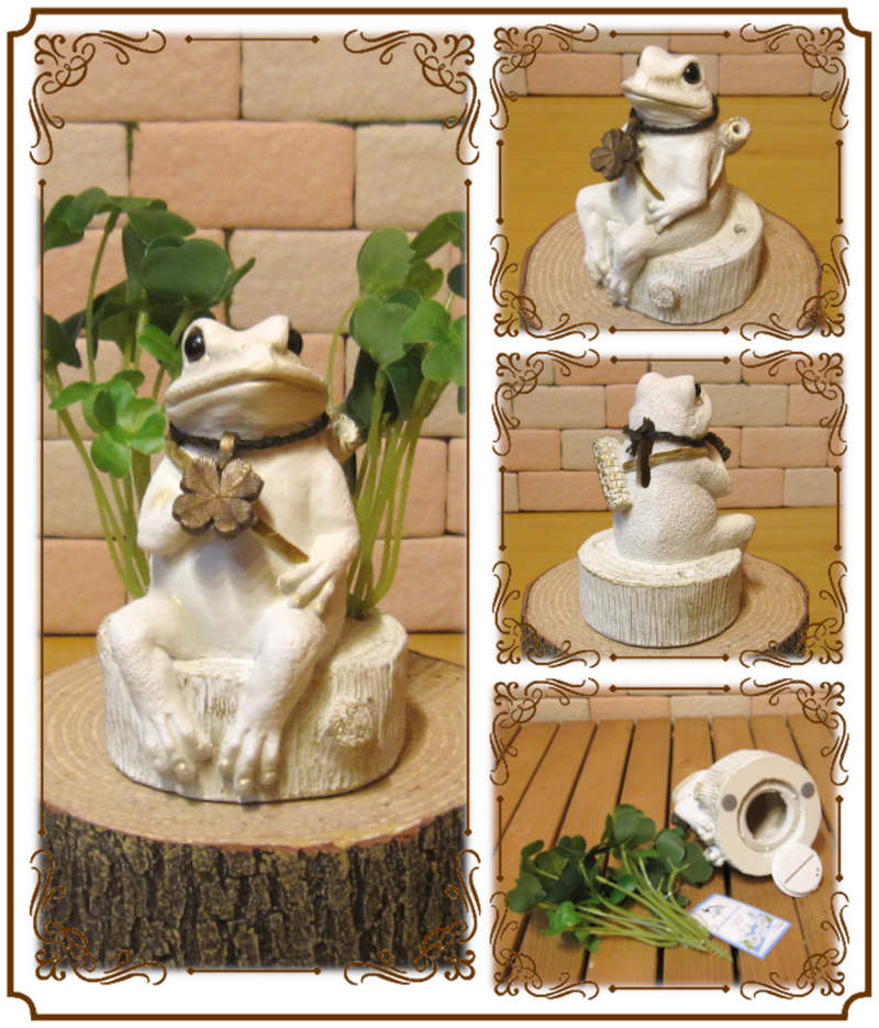 ���������ʪ ������ȥ������С�������Ȣ�������롡�Х󥯡� �� ���֥��� ����ƥꥢ  �ﵯʪ