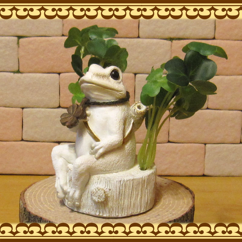 ���������ʪ ������ȥ������С�������Ȣ�������롡�Х󥯡� �� ���֥��� ����ƥꥢ  �ﵯʪ