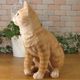 �ꥢ���ǭ����ʪ������ȥ顡���¤ꡡ�ͥ����ͤ�������åȡ����֥�����Ź��������������������ƥꥢ�������ǥ˥󥰡��Ǻࡡ�٥���������