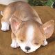 �����ꥢ��ʸ�����ʪ�������ȥ��ȡ��ͤ�ͤࡡ���̡����֥����������ǥ˥󥰡�Ź�ޡ������󥿡�������������ƥꥢ