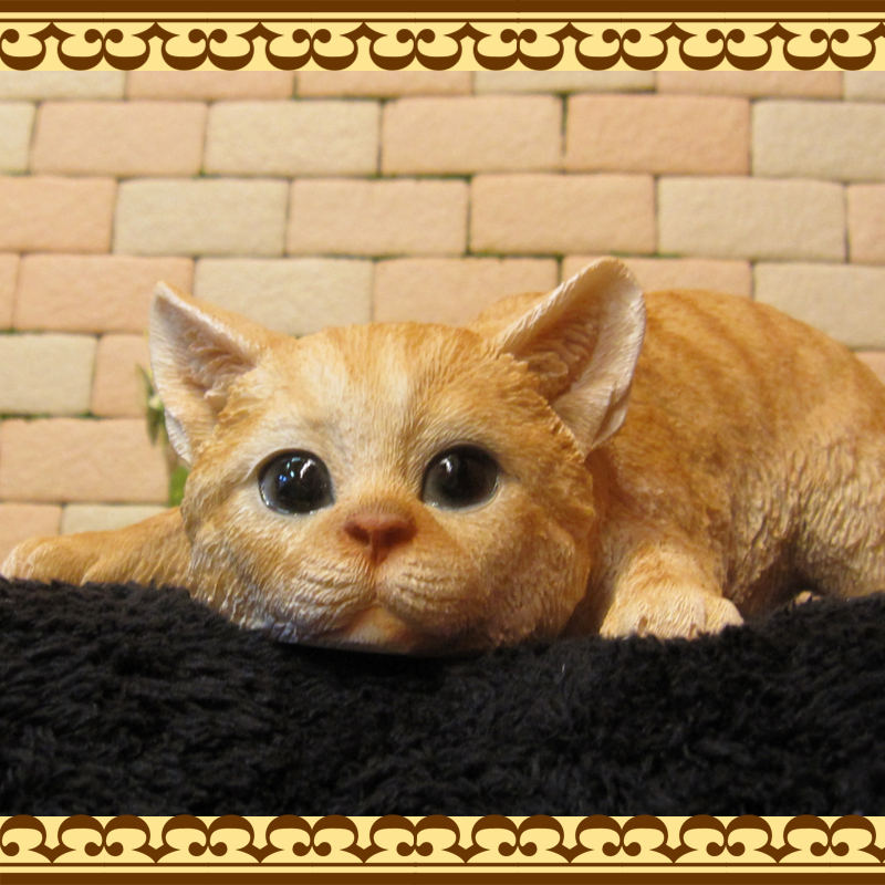 ǭ����ʪ���٥ӡ�����åȴƻ��桡����ȥ顡�ͤ����֥������쥸�������ͥ��ե����奢������ƥꥢ�������ǥ˥��Ǻ�