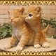 �ꥢ���ǭ����ʪ���ĥ��󥺡�����åȡ�����ȥ顡�Ҥͤ��������ǥ����������֥����������ʥ��ȡ��٥��������ȡ��ͥ����֥������ե����奢