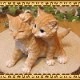 �ꥢ���ǭ����ʪ���ĥ��󥺡�����åȡ�����ȥ顡�Ҥͤ��������ǥ����������֥����������ʥ��ȡ��٥��������ȡ��ͥ����֥������ե����奢