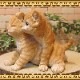 �ꥢ���ǭ����ʪ���ĥ��󥺡�����åȡ�����ȥ顡�Ҥͤ��������ǥ����������֥����������ʥ��ȡ��٥��������ȡ��ͥ����֥������ե����奢