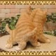 �ꥢ���ǭ����ʪ���ĥ��󥺡�����åȡ�����ȥ顡�Ҥͤ��������ǥ����������֥����������ʥ��ȡ��٥��������ȡ��ͥ����֥������ե����奢