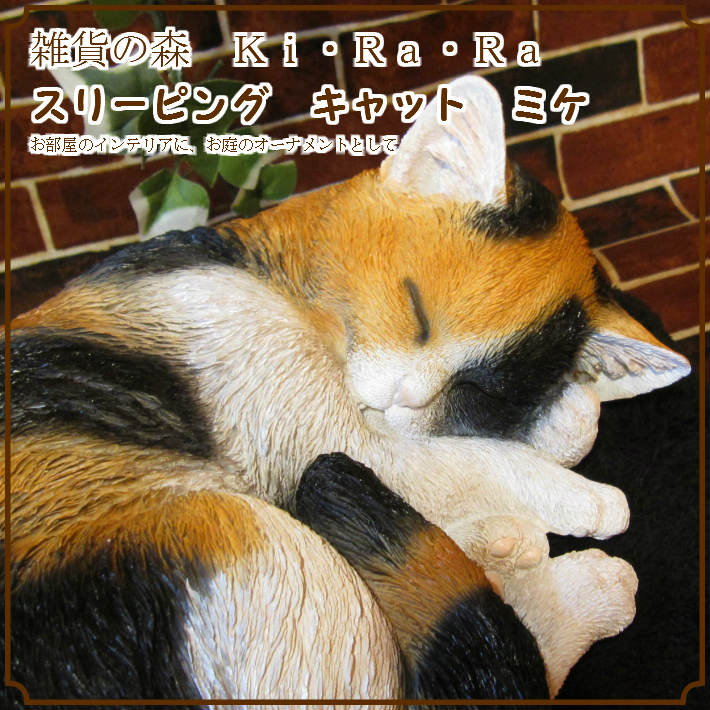 �ꥢ��ʻ��Ӥͤ�����ʪ�����꡼�ԥ󥰥���åȡ��ߥ����쥸�����ͥ��Υե��������������Υ���ƥꥢ�˥����ǥ˥󥰤��Ǻ��