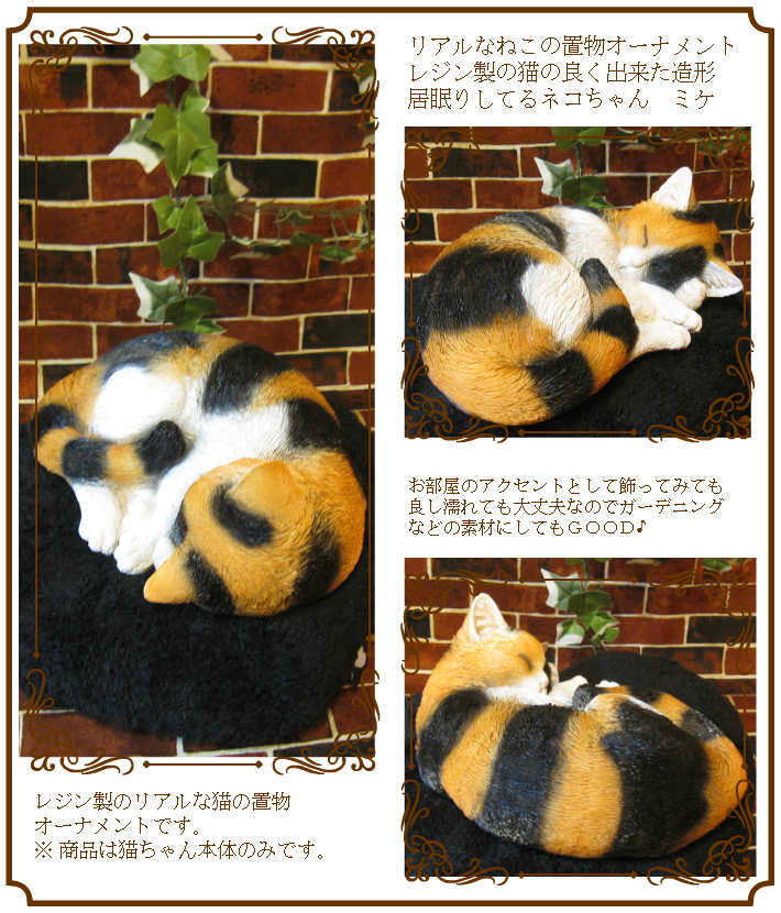 �ꥢ��ʻ��Ӥͤ�����ʪ�����꡼�ԥ󥰥���åȡ��ߥ����쥸�����ͥ��Υե��������������Υ���ƥꥢ�˥����ǥ˥󥰤��Ǻ��