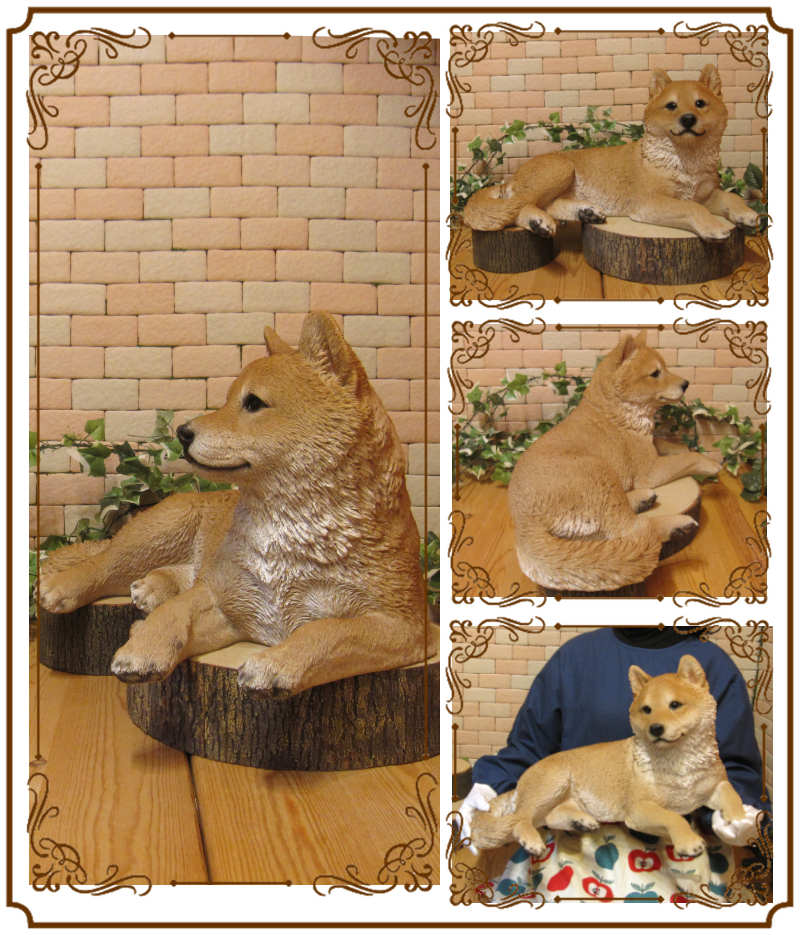 ������ʪ���Ƹ��������������٤ꡡ�ӥå������������礭���ƥꥢ��ʥ��̤���ʪ���������Υ���ƥꥢ�ˤ����Υ����ʥ��ȤȤ��Ƥ��