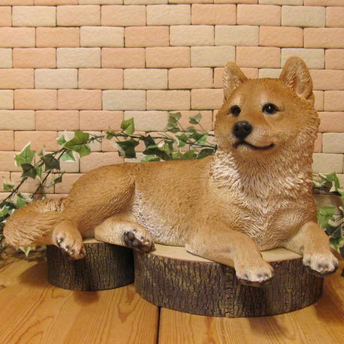 ������ʪ���Ƹ��������������٤ꡡ�ӥå������������礭���ƥꥢ��ʥ��̤���ʪ���������Υ���ƥꥢ�ˤ����Υ����ʥ��ȤȤ��Ƥ��