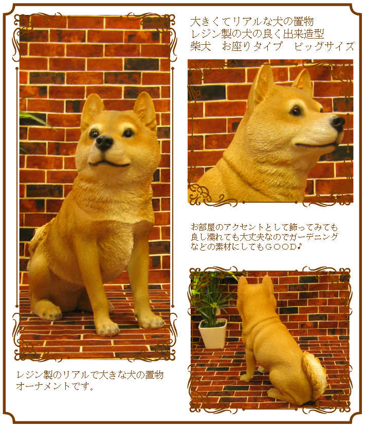 ������ʪ���Ƹ������������¤ꡡ�ӥå������������礭���ƥꥢ��ʥ��̤���ʪ���ɥå����֥��������������ǥ˥󥰡���������