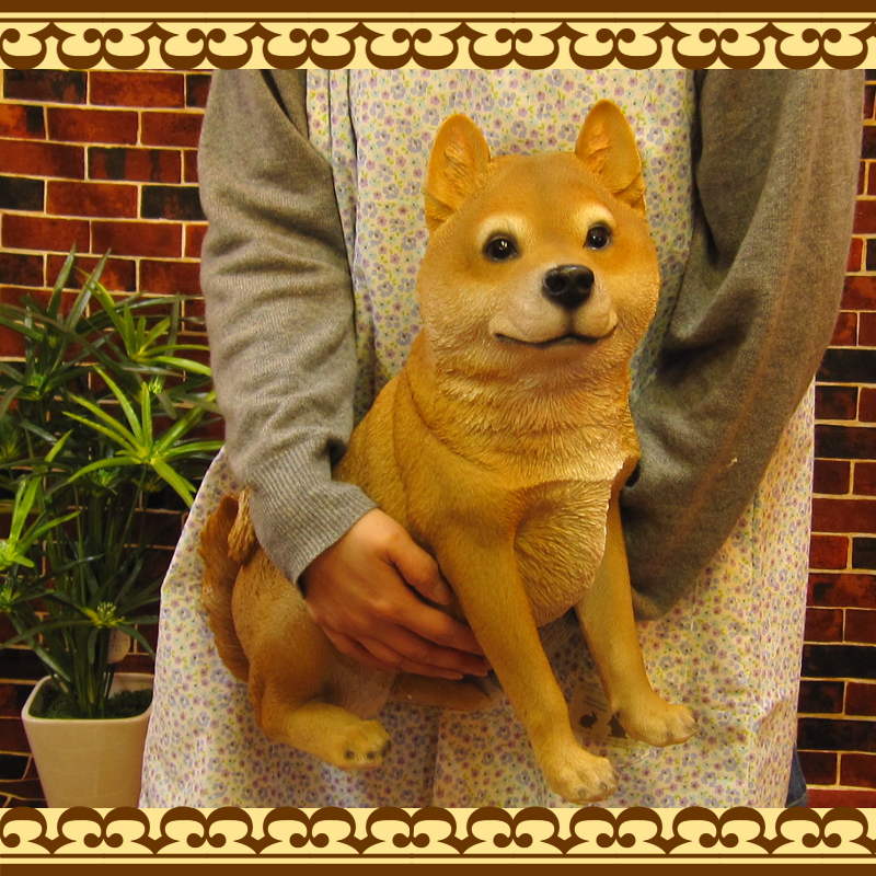 ������ʪ���Ƹ������������¤ꡡ�ӥå������������礭���ƥꥢ��ʥ��̤���ʪ���ɥå����֥��������������ǥ˥󥰡���������