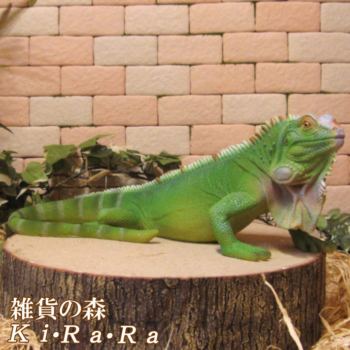 1_000000001354.jpg?1678209906