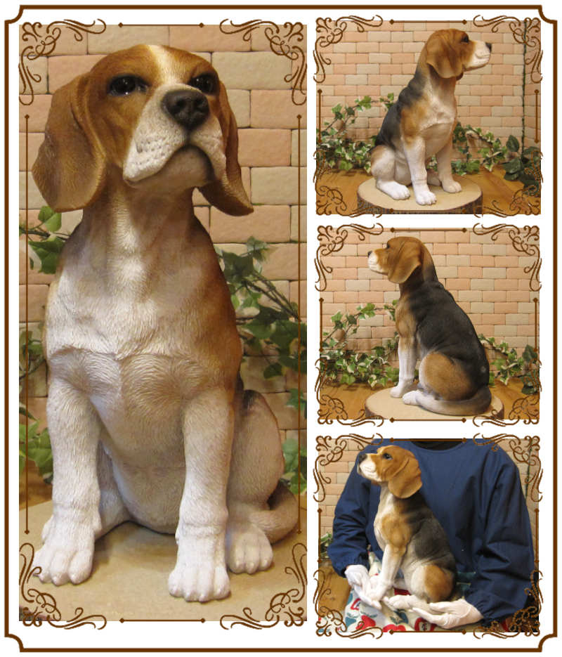 ������ʪ���ӡ����롡���������¤ꡡ�顼�������������礭���ƥꥢ��ʥ��̤���ʪ���������Υ���ƥꥢ�ˤ����Υ����ʥ��ȤȤ��Ƥ��