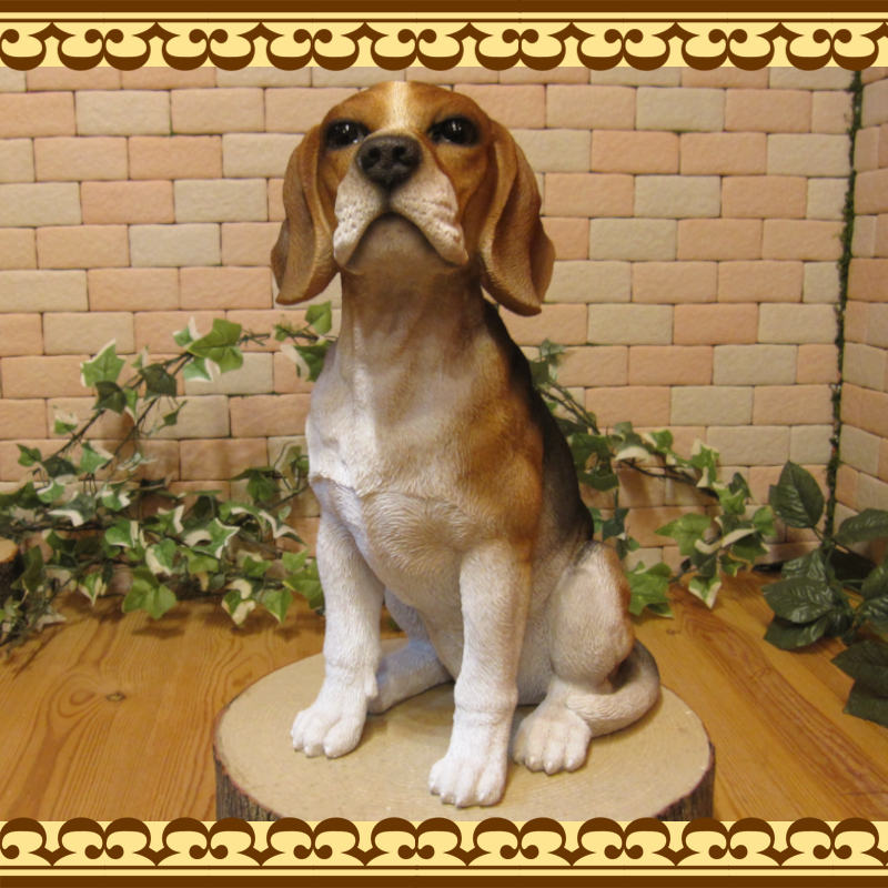 ������ʪ���ӡ����롡���������¤ꡡ�顼�������������礭���ƥꥢ��ʥ��̤���ʪ���������Υ���ƥꥢ�ˤ����Υ����ʥ��ȤȤ��Ƥ��