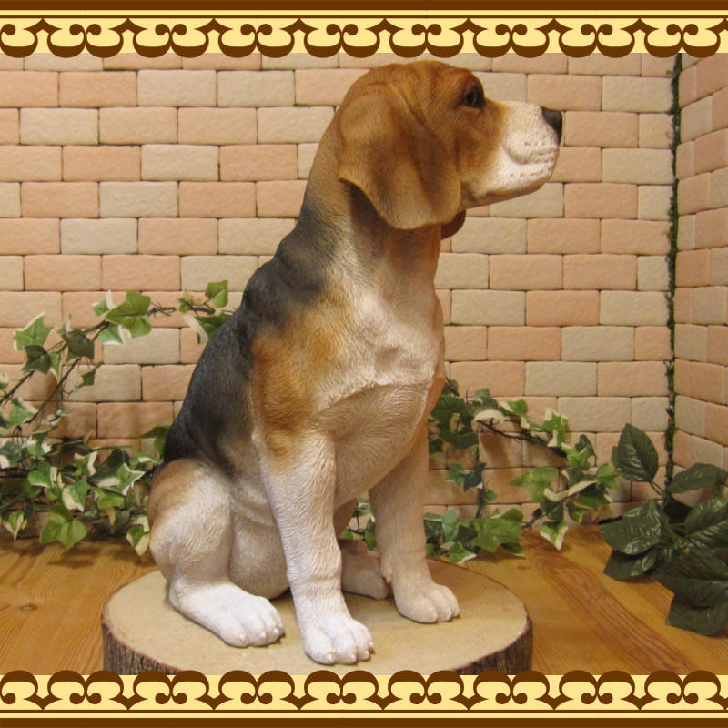 ������ʪ���ӡ����롡���������¤ꡡ�顼�������������礭���ƥꥢ��ʥ��̤���ʪ���������Υ���ƥꥢ�ˤ����Υ����ʥ��ȤȤ��Ƥ��