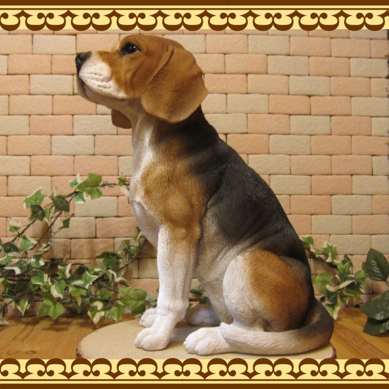 ������ʪ���ӡ����롡���������¤ꡡ�顼�������������礭���ƥꥢ��ʥ��̤���ʪ���������Υ���ƥꥢ�ˤ����Υ����ʥ��ȤȤ��Ƥ��