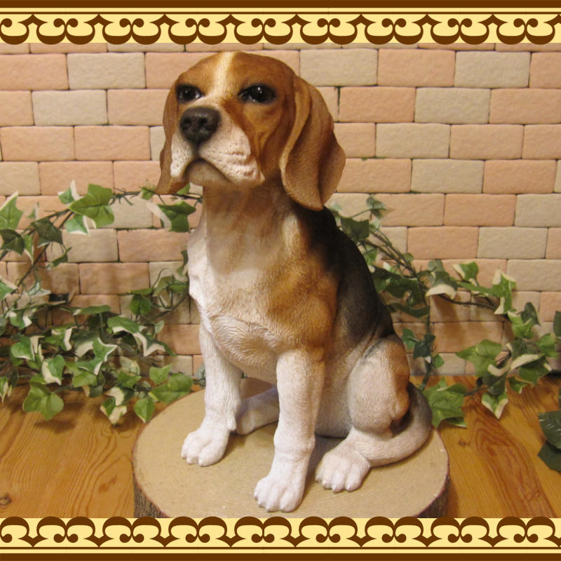 ������ʪ���ӡ����롡���������¤ꡡ�顼�������������礭���ƥꥢ��ʥ��̤���ʪ���������Υ���ƥꥢ�ˤ����Υ����ʥ��ȤȤ��Ƥ��