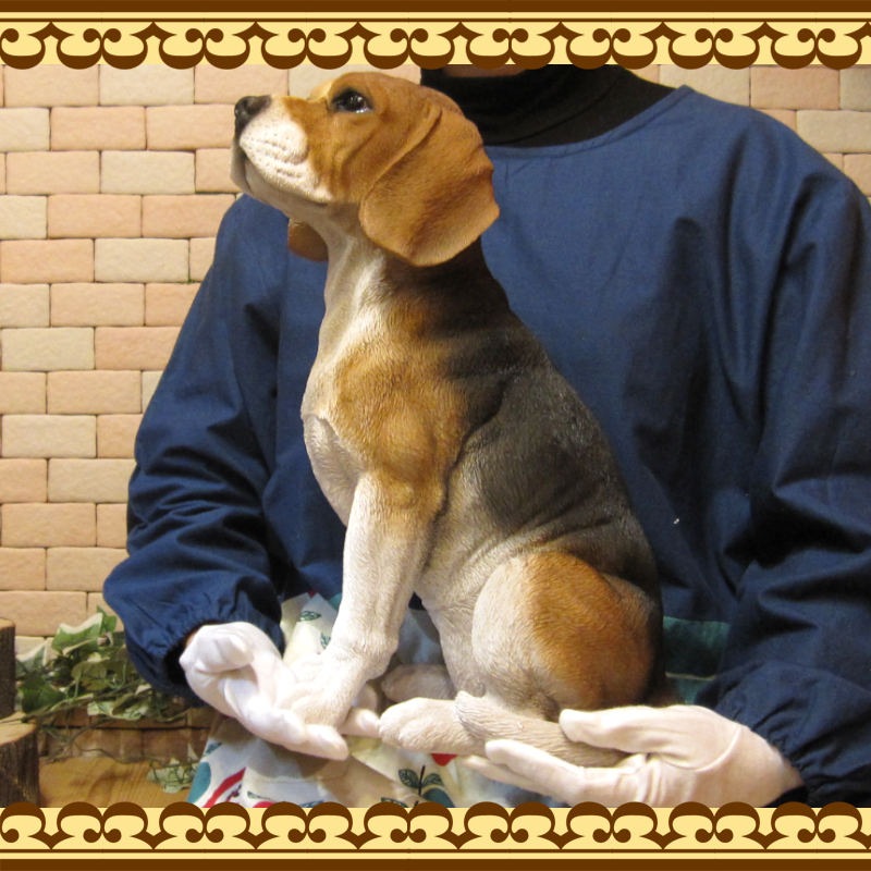 ������ʪ���ӡ����롡���������¤ꡡ�顼�������������礭���ƥꥢ��ʥ��̤���ʪ���������Υ���ƥꥢ�ˤ����Υ����ʥ��ȤȤ��Ƥ��