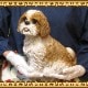 ������ʪ���������������¤ꡡ�顼�����������ꥢ��ʸ�����ʪ �Ҥ��̡��ե������������ǥ󡡥��֥������������Υ���ƥꥢ�ˤ����Υ����ʥ��ȤȤ��Ƥ����