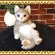 ǭ����ʪ���İ����ͥ��Υ��֥��������Ĥ�������åȡ������٤ꡡ���졼���쥸�����ͤ��Υե������������ǥ󡡸�����