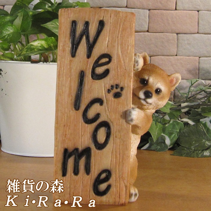 ������ʪ �����륫��ԥ顼��������ɥɥå����Ƹ� �Ҥ��̤Υե������������ߡ����֥����� �����ǥ󡡥��ե����٥��������ȡ�Ź�ޡ������������󥿡����쥸��