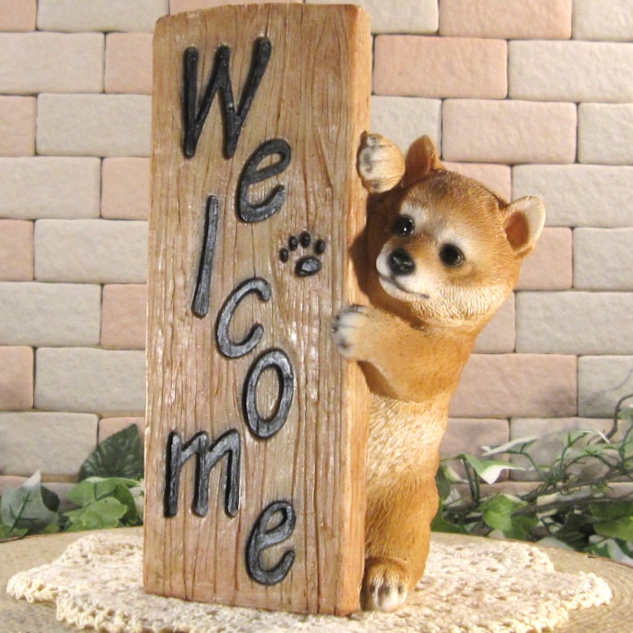 ������ʪ �����륫��ԥ顼��������ɥɥå����Ƹ� �Ҥ��̤Υե������������ߡ����֥����� �����ǥ󡡥��ե����٥��������ȡ�Ź�ޡ������������󥿡����쥸��