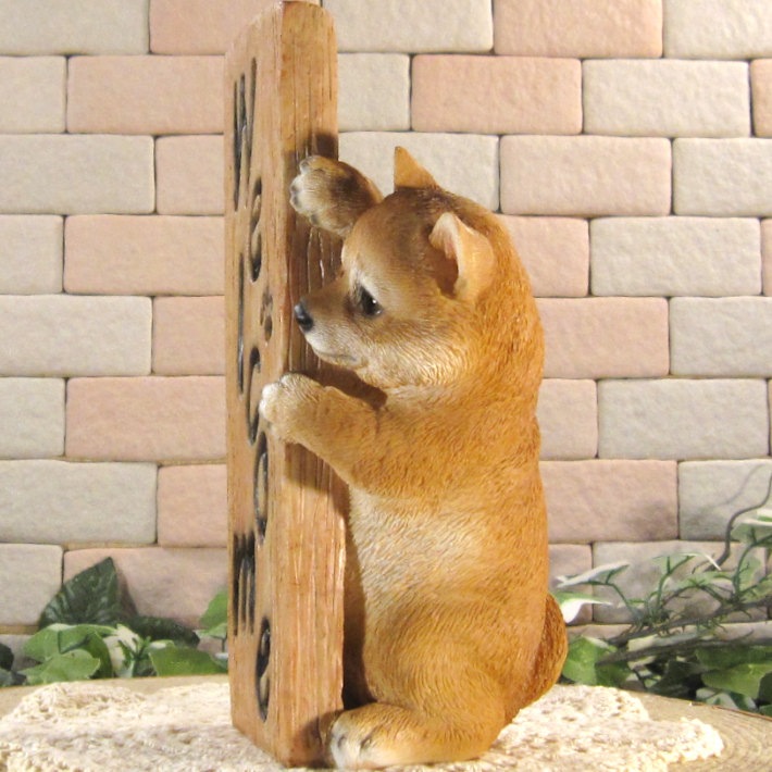 ������ʪ �����륫��ԥ顼��������ɥɥå����Ƹ� �Ҥ��̤Υե������������ߡ����֥����� �����ǥ󡡥��ե����٥��������ȡ�Ź�ޡ������������󥿡����쥸��