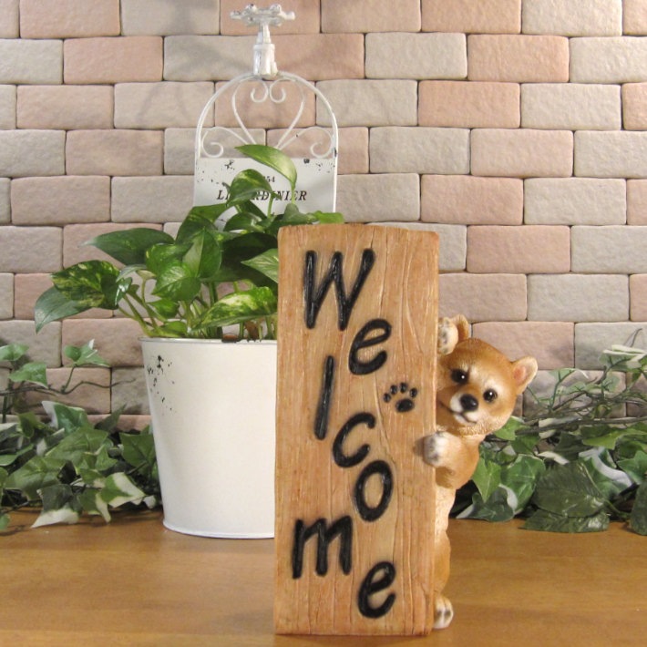 ������ʪ �����륫��ԥ顼��������ɥɥå����Ƹ� �Ҥ��̤Υե������������ߡ����֥����� �����ǥ󡡥��ե����٥��������ȡ�Ź�ޡ������������󥿡����쥸��