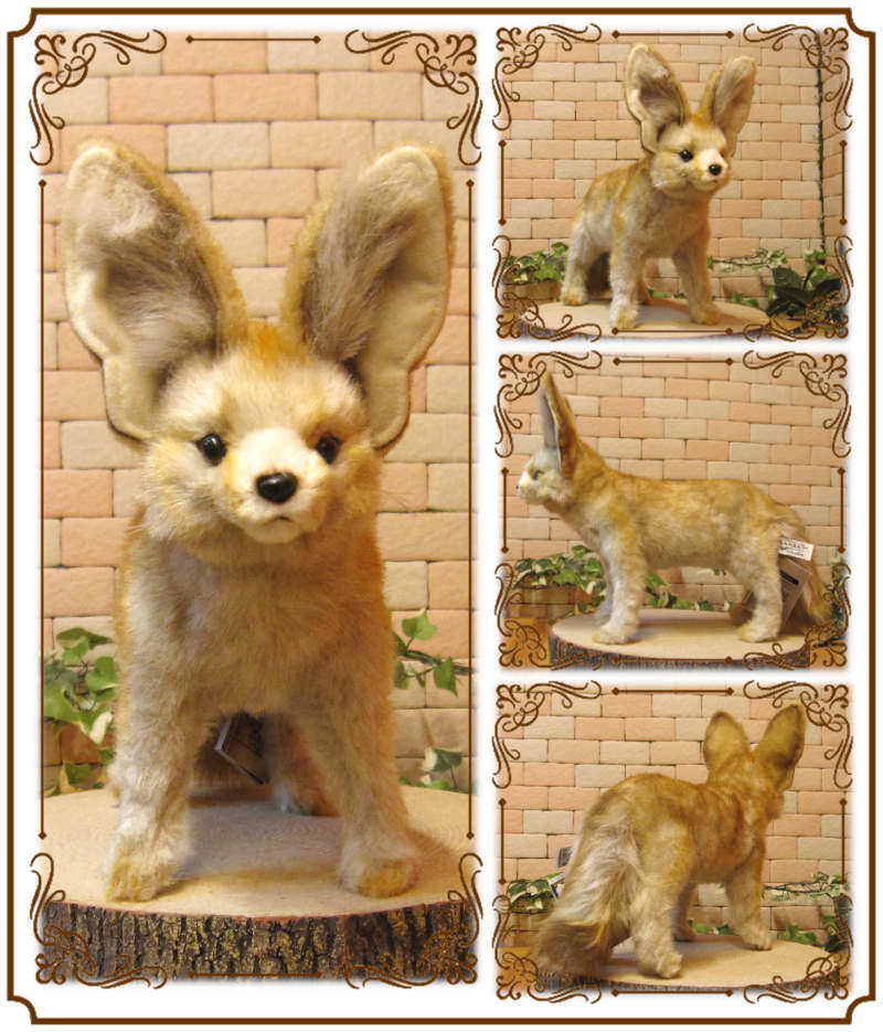 �ꥢ���ưʪ�Τ̤�����ߡ��ե��ͥå������˥ޥ륪�֥��������Ĥͥ��å������ĥͤ���ʪ������ƥꥢ