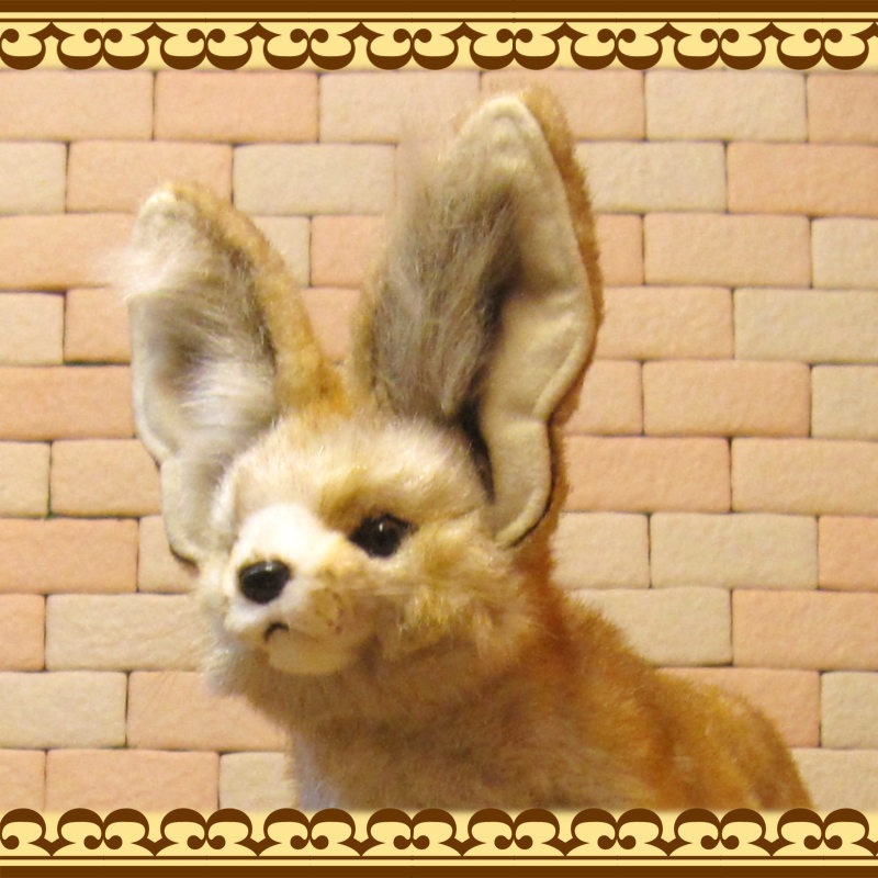 �ꥢ���ưʪ�Τ̤�����ߡ��ե��ͥå������˥ޥ륪�֥��������Ĥͥ��å������ĥͤ���ʪ������ƥꥢ