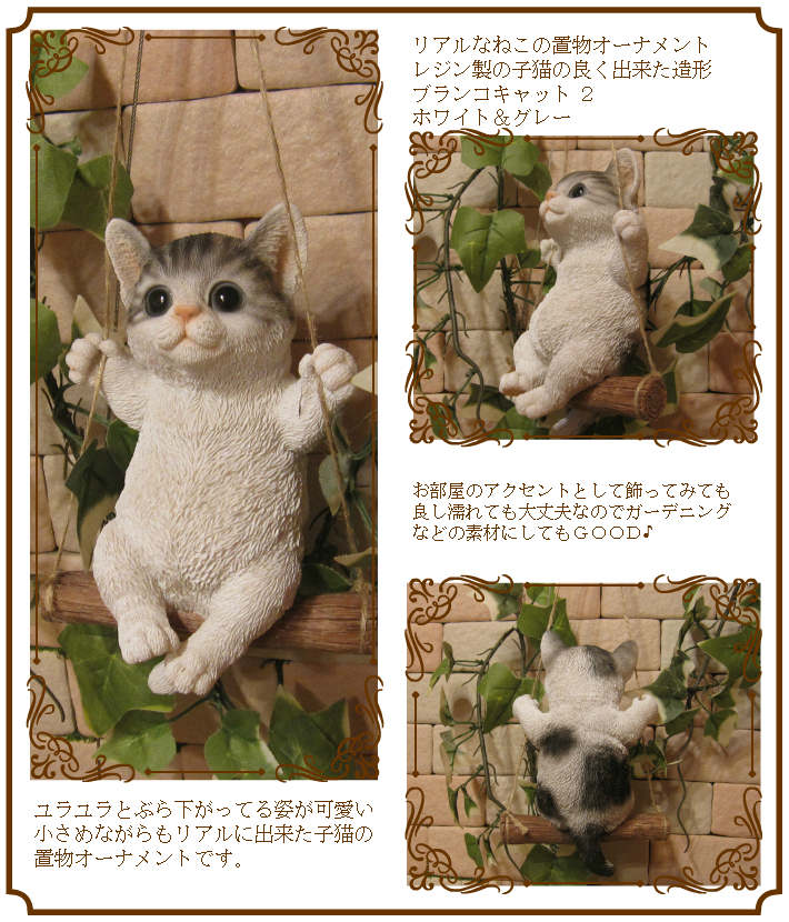 ǭ����ʪ���֥�󥳥���åȡ��¥����ס��ۥ磻�ȡ����졼���ͤ����֥������쥸�������ͥ��ե����奢������ƥꥢ�������ǥ˥��Ǻ�