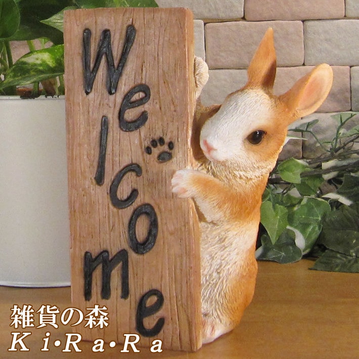 �ꥢ��ʥ���������ʪ �����륫��ԥ顼��������ɥ�ӥå� �Ҥ������Υե����������������ߡ����֥����� �����ǥ󡡥��ե����٥��������ȡ�Ź�ޡ������������󥿡����쥸��