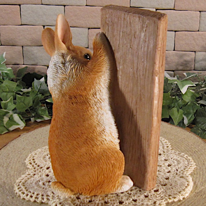 �ꥢ��ʥ���������ʪ �����륫��ԥ顼��������ɥ�ӥå� �Ҥ������Υե����������������ߡ����֥����� �����ǥ󡡥��ե����٥��������ȡ�Ź�ޡ������������󥿡����쥸��