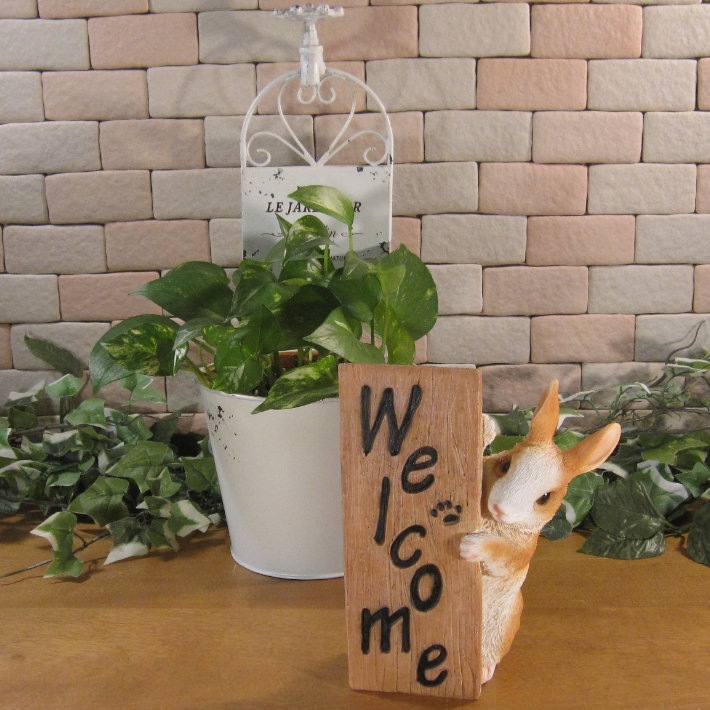 �ꥢ��ʥ���������ʪ �����륫��ԥ顼��������ɥ�ӥå� �Ҥ������Υե����������������ߡ����֥����� �����ǥ󡡥��ե����٥��������ȡ�Ź�ޡ������������󥿡����쥸��