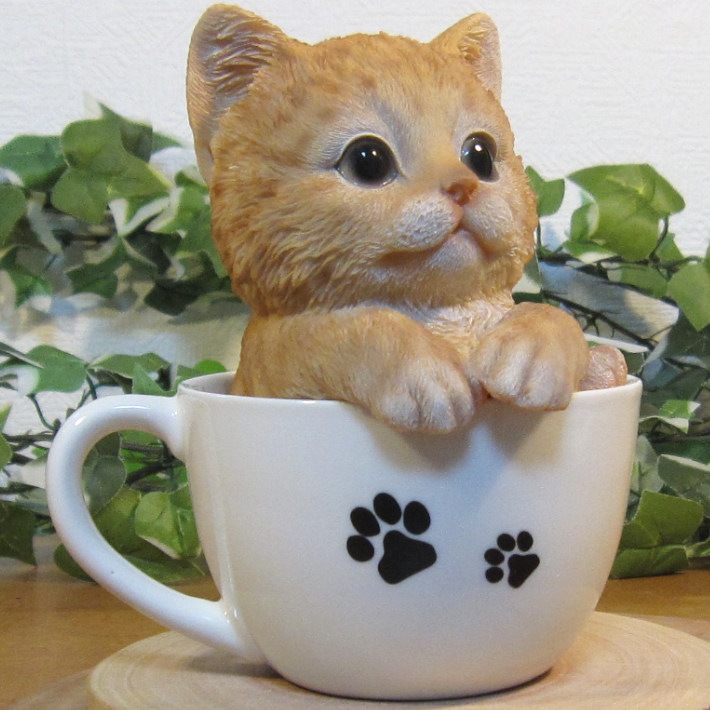 �ꥢ��ʥͥ�����ʪ���٥ӡ�����åȡ��ƥ������åץ���åȡ�����ȥ顡�Ҥͤ��Υե������������ǥ˥󥰡����֥�����������