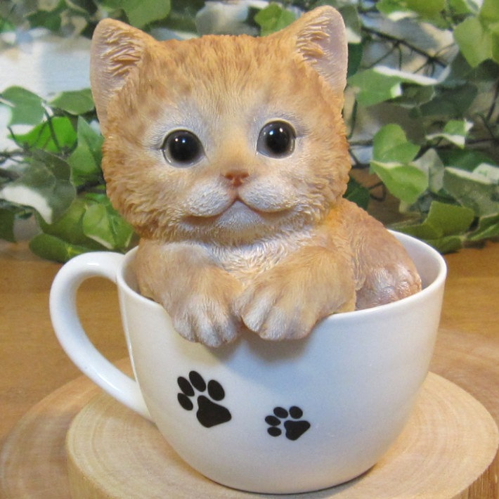 �ꥢ��ʥͥ�����ʪ���٥ӡ�����åȡ��ƥ������åץ���åȡ�����ȥ顡�Ҥͤ��Υե������������ǥ˥󥰡����֥�����������