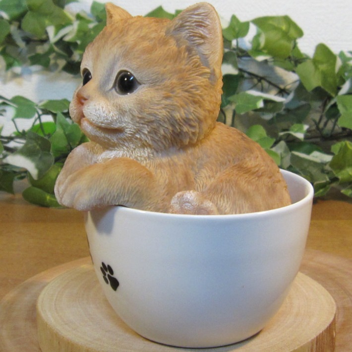 �ꥢ��ʥͥ�����ʪ���٥ӡ�����åȡ��ƥ������åץ���åȡ�����ȥ顡�Ҥͤ��Υե������������ǥ˥󥰡����֥�����������