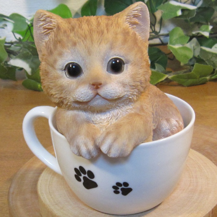 �ꥢ��ʥͥ�����ʪ���٥ӡ�����åȡ��ƥ������åץ���åȡ�����ȥ顡�Ҥͤ��Υե������������ǥ˥󥰡����֥�����������