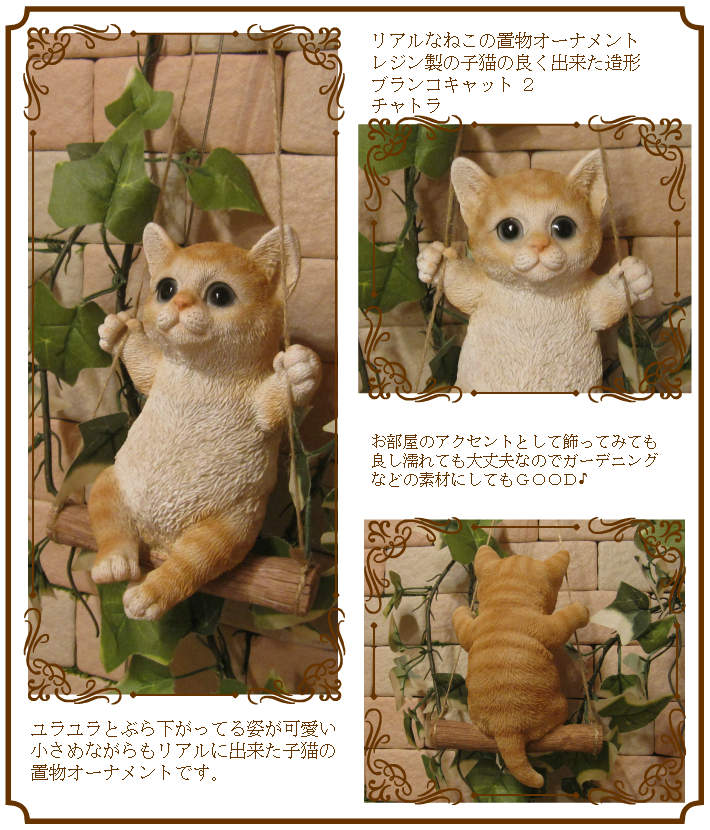 ǭ����ʪ���֥�󥳥���åȡ��¥����ס�����ȥ顡�ͤ����֥������쥸�������ͥ��ե����奢������ƥꥢ�������ǥ˥��Ǻ�