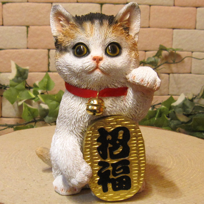 �ͤ�����ʪ������ǭ��ʡ�������ߥ����쥸�����ͥ��Υե��������ޤͤ��ͤ���ǭ�Υ��֥���������åȡ�����ƥꥢ���ﵯʪ