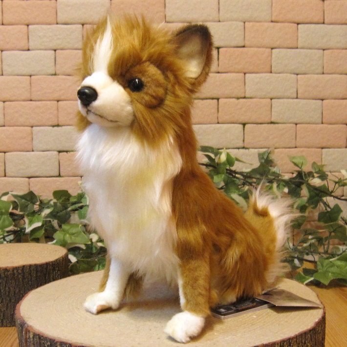 饤ȥ֥饦󡡥ɥå֥ꥢʸΤ̤ߡ̤ʪ̤Υե奢ƥꥢ