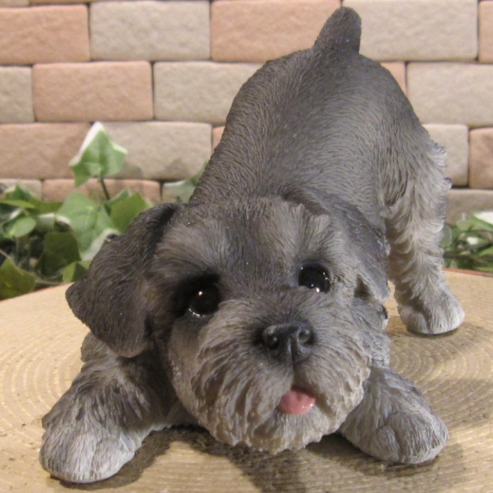 ʪʥꥢʤ̤ʪΤӤΤӡɥȥåѡ̤Υ֥Źޡ󥿡ǥ˥󥰡٥