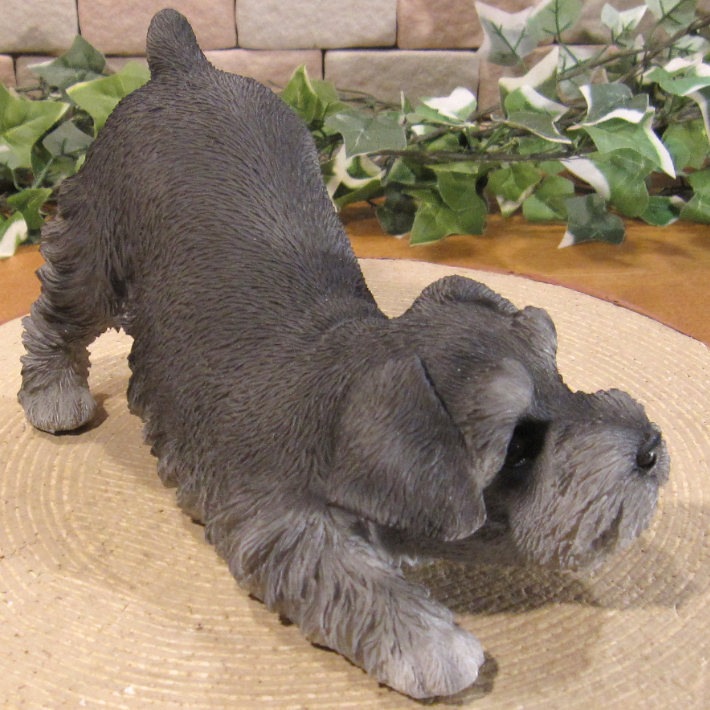 ʪʥꥢʤ̤ʪΤӤΤӡɥȥåѡ̤Υ֥Źޡ󥿡ǥ˥󥰡٥