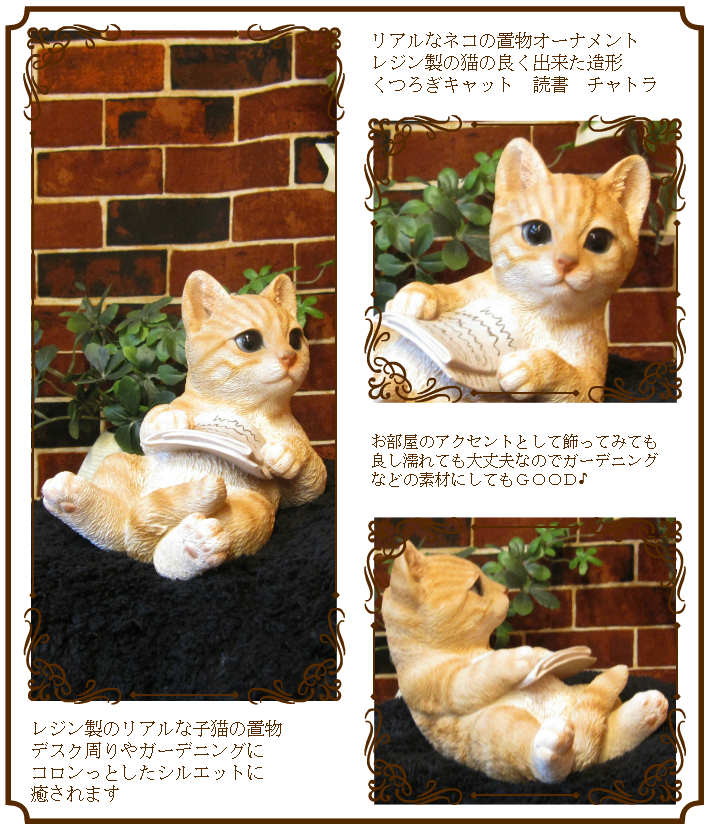 ǭ����ʪ���İ����ͥ��Υ��֥��������Ĥ�������åȡ��ɽ���ȥ顡�쥸�����ͤ��Υե������������ǥ󡡸�����