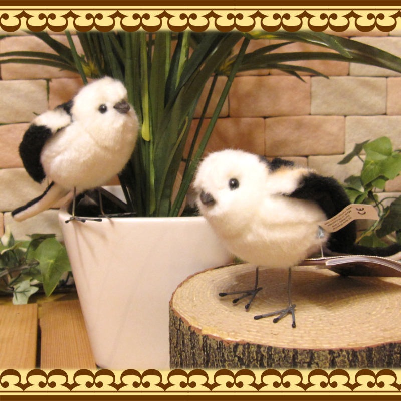 �ꥢ���Ļ�Τ̤�����ߡ����ޥ��ʥ����������åȡ��ȥ����ʪ�������ᡡ���֥���������ƥꥢ���ե����奢