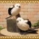 �ꥢ���Ļ�Τ̤�����ߡ����ޥ��ʥ����������åȡ��ȥ����ʪ�������ᡡ���֥���������ƥꥢ���ե����奢